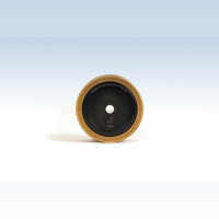 Fern and Roby Isolation Record Weight variant 5