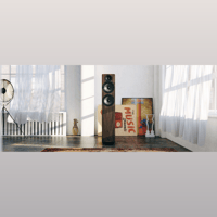 Acoustic Energy AE109 variant 5