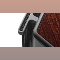 Sonus Faber Guarneri variant 9