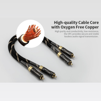 Cayin CS-6RCA variant 3