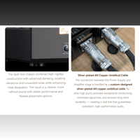 Cayin HA-6A MK2 variant 5