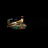 MBL - USA MBL N31 variant 2