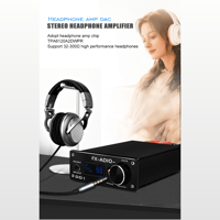 FX Audio D01 variant 12