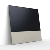 Canvas CANVAS 65 variant 17