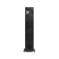 MartinLogan Motion XT F100 variant 10