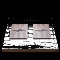 Merrill Audio Element 118 Power Amplifier Monoblocks variant 4