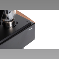 Mastersound Booster (coppia) variant 7