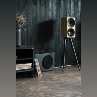 Buchardt Audio SUB10 variant 13