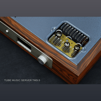 ThivanLabs TMS-3 variant 2