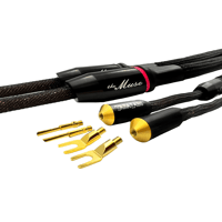 Tara Labs The Muse variant 2