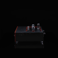 SW1x AMP II “Electra” Integrated Amplifier variant 10