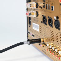 Advance Paris LINK Sub variant 3