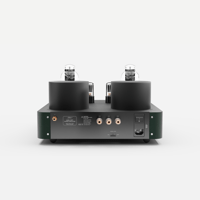 Fezz Audio Mira Ceti Mono Power Amplifier variant 9