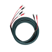 Cardas Parsec Speaker variant 1