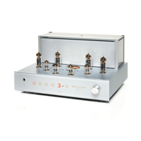 Black Ice Audio Fusion F11 Integrated Tube Amplifier - 25 WPC* variant 2