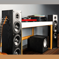 Polk Audio T50 variant 6