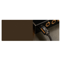 Cayin CS-C2C variant 5