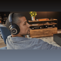 Mark Levinson № 5909 variant 14