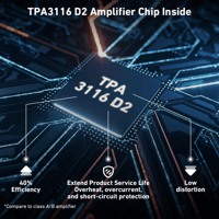 Arylic B50 SE Bluetooth Stereo Amplifier variant 4