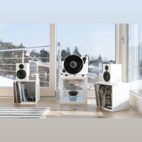 Pro-ject Audio Systems - USA VT-E variant 4