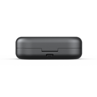 B&O-Bang & Olufsen  Beoplay EQ Charging Case variant 3