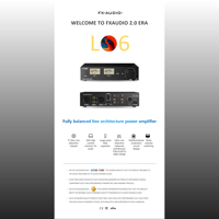 FX Audio L06 Fully balanced line architecture power amplifier variant 2