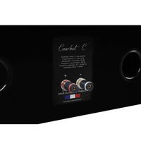 Davis Acoustics Courbet C variant 12