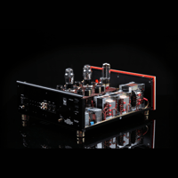 SW1x DAC X variant 10