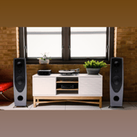 Rega AYA variant 6