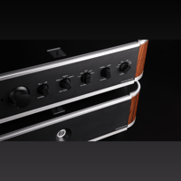 Fjord Audio Model A100 variant 7