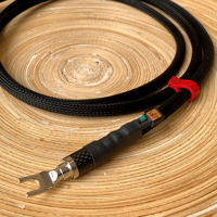 Ikigai Audio Kinzan variant 12