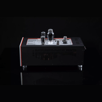 SW1x MPA IV “Aurora” Mono Power Amplifier variant 16