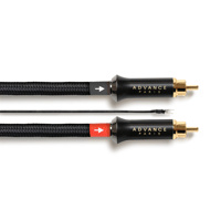 Advance Paris LINK RCA variant 1