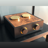 The Bespoke Audio Company Bespoke Passive Preamplifier variant 1