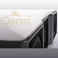 Wilson Audio WASAE Center Channel variant 1