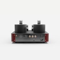 Fezz Audio Mira Ceti Mono Power Amplifier variant 4