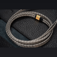 Campfire Audio Time Stream: Silver variant 6