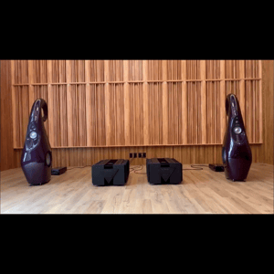 Thumbnail of the video review https://www.youtube.com/watch?v=UDZ_zojfnfs