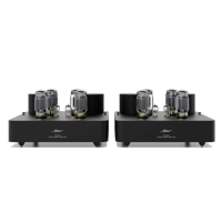 Fezz Audio Olympia Mono Power Amplifier variant 6