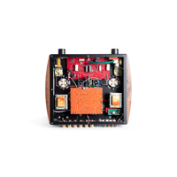 Mastersound Compact 300B variant 5