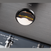 Cayin M-845D variant 6