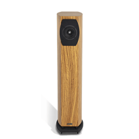 Audium Comp 8.3 Active variant 1