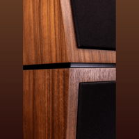 Davis Acoustics Renoir Evolution variant 15