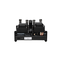 Manley Laboratories Snapper® Power Amps variant 3