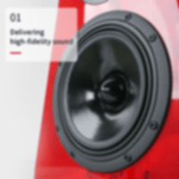 Denafrips Neptune two-frequency bookshelf speaker variant 2