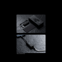 Cayin RU6 variant 12