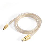 ddHiFi TC19BC Comet Gold Pure Silver Digital Signal Cable (Gold Edition) variant 3