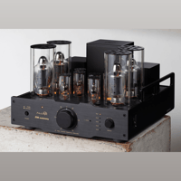 Allnic/ZL Technologies T-2000 30th variant 1