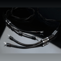 Esprit Audio Lumina Loudspeaker connection variant 1