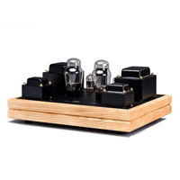 Border Patrol S10EXD SINGLE-ENDED AMPLIFIER variant 1